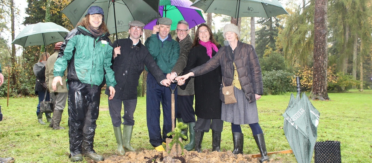 Holford Glade planting project